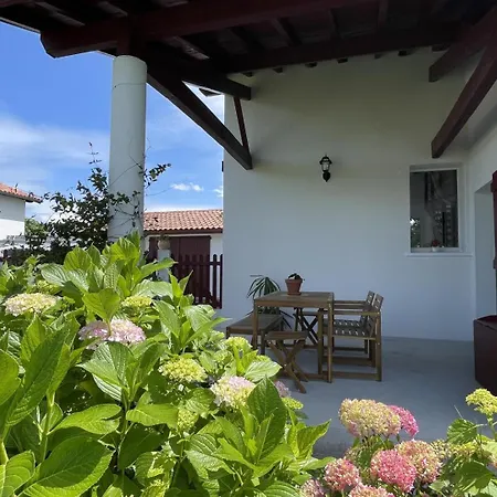Hartzurienea *